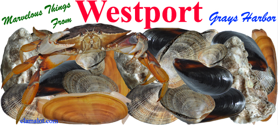 Westport Sea food